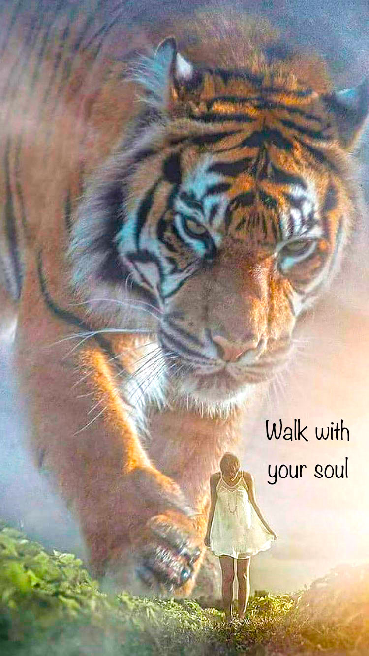 Walk with your soul